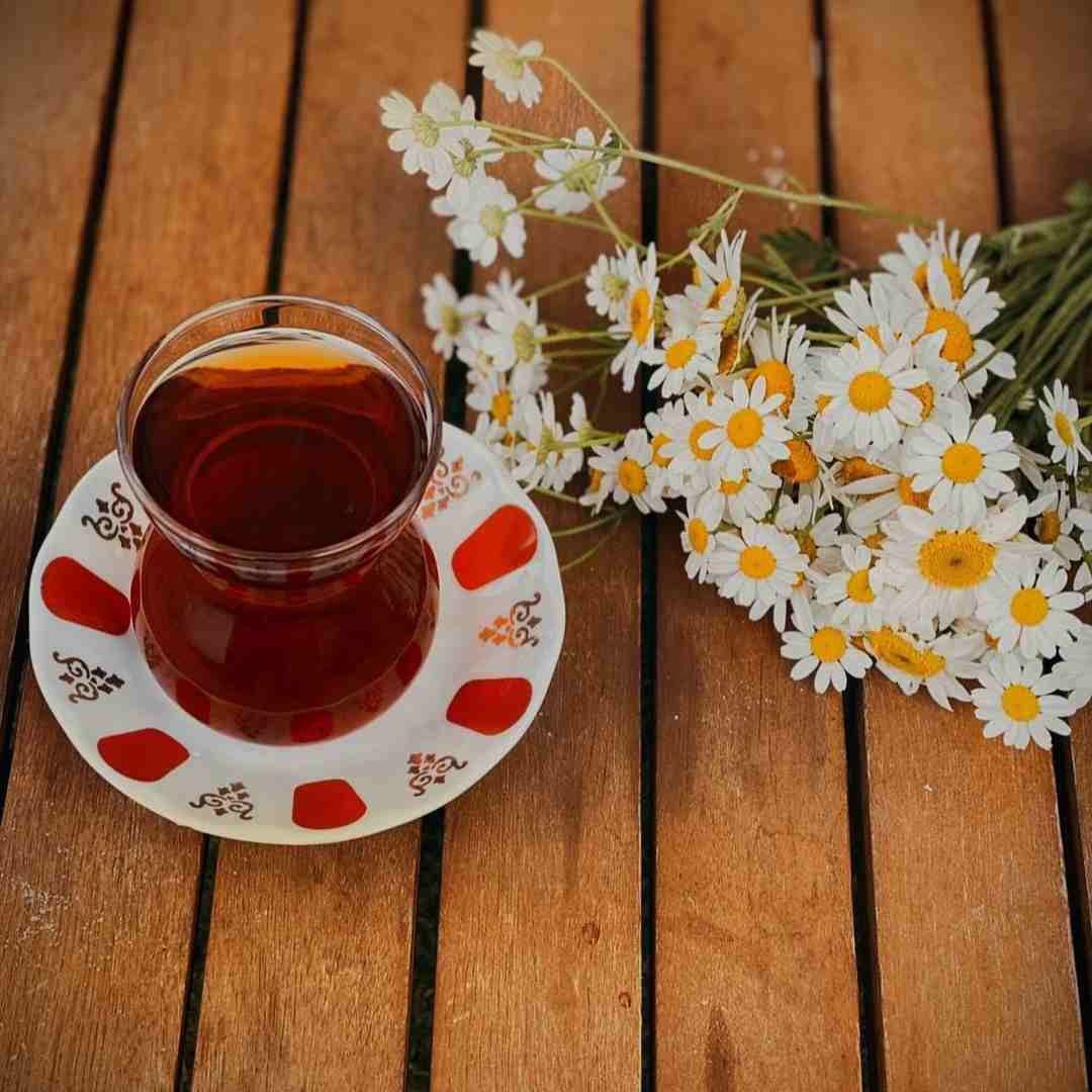 آهنگ جدید  همه میگن دیوونه است این و خودم میدونم